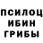 Псилоцибиновые грибы прущие грибы TheBest.Cornbread