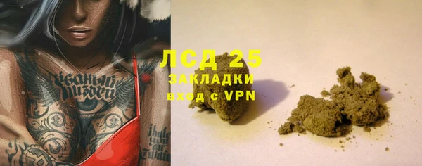 индика Алексеевка
