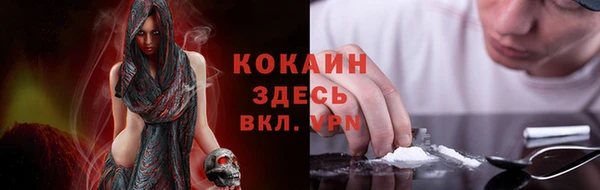 индика Алексеевка
