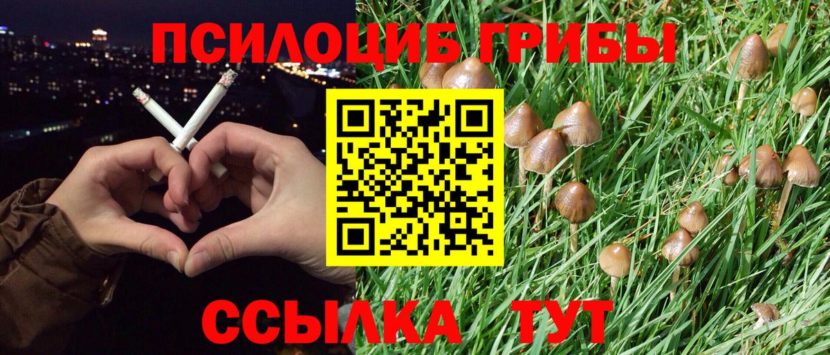 Псилоцибиновые грибы MAGIC MUSHROOMS Елабуга