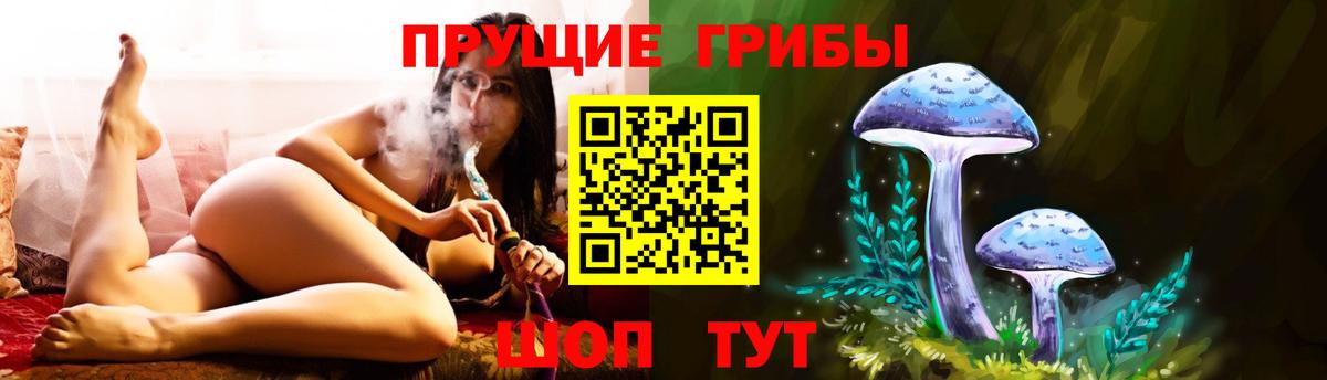 Елабуга  Псилоцибиновые грибы MAGIC MUSHROOMS  Галлюциногенные грибы мухоморы  Вход с VPN 